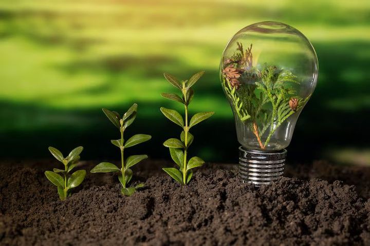 Expert Guide to Bio energy: Deep Dive into Technology, Analysis, and Trends