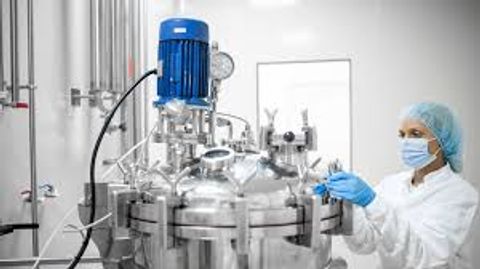 Expert Guide to Bioreactors: Techniques, Innovations, and Industry Insights