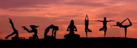 Guide to Fitness Programs: Tailored Plans for Every Fitness Level