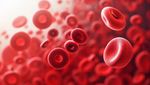 Anemia Guide: Explore Types, Causes, and Key Health Insights
