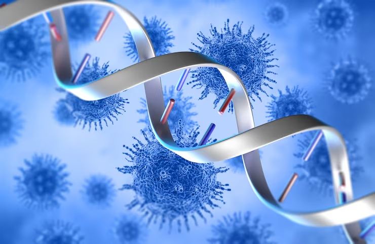 Antibody Conjugation Explained: A Complete Guide to Methods and Applications
